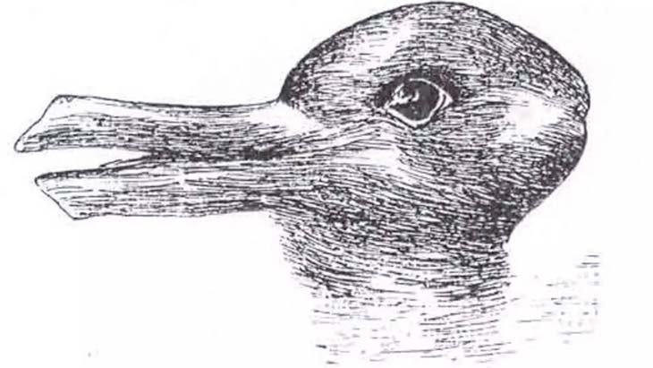 Le lapin ou le canard