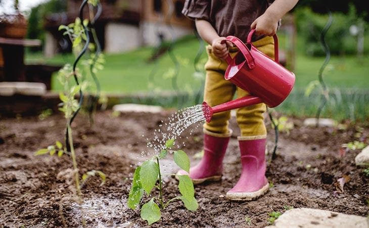 Arroser les plantes 