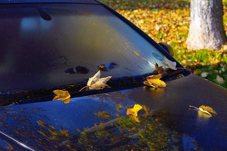 Buée sur la vitre de la voiture