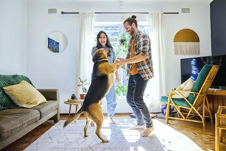 Chien heureux de retrouver ses maîtres