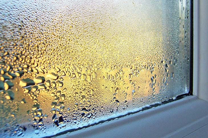 Condensation sur une fenêtre