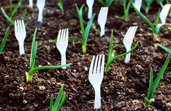 Elle plante des fourchettes dans son jardin pour une raison géniale