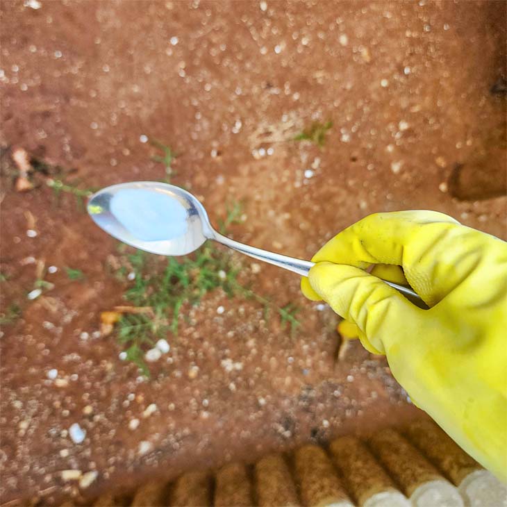 Verser du bicarbonate sur les mauvaises herbes du jardin