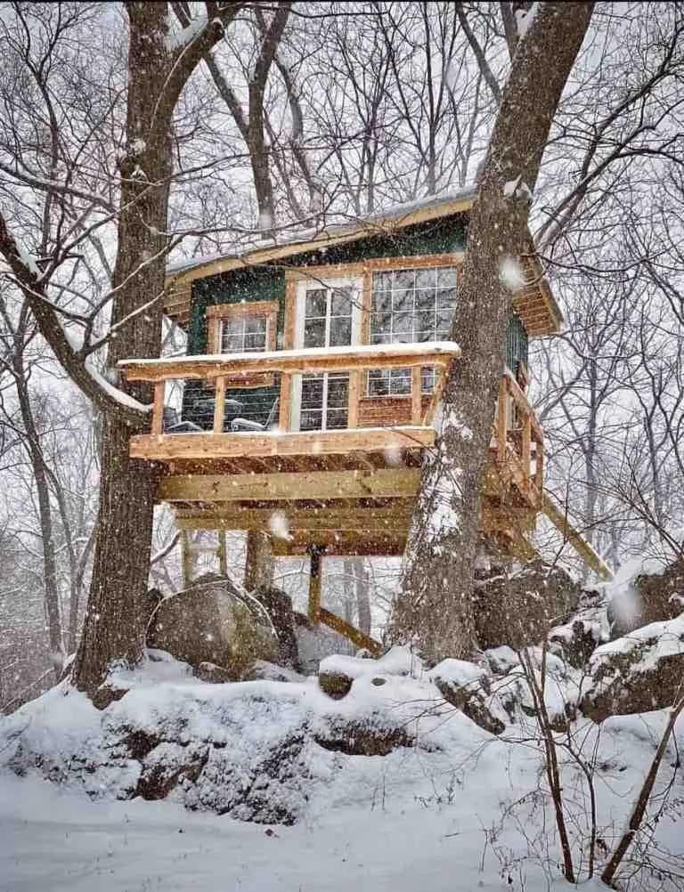 La cabane dans les arbres1