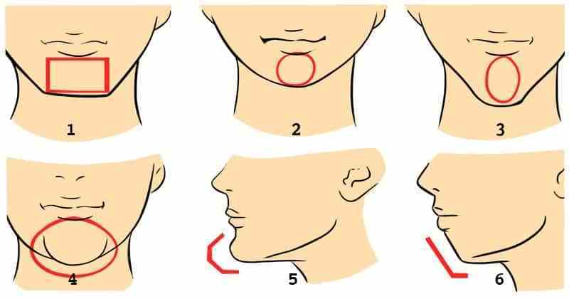 La forme de votre menton