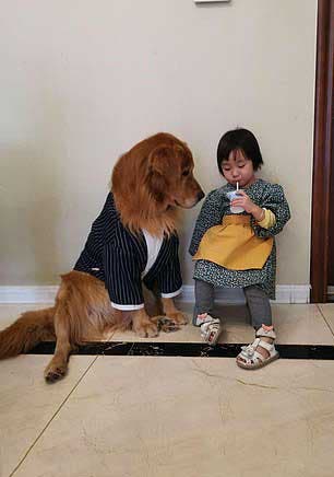 Le chien Harry et la petite fille2