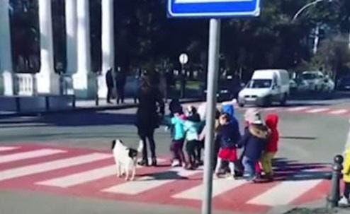 Le chien Kupata aide les enfants1