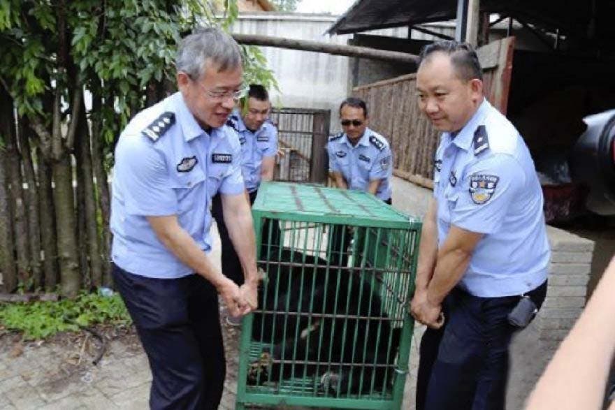 Le personnel avec l’ours