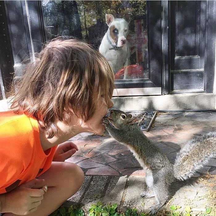 L'écureuil embrasse le petit garçon