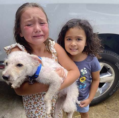 Lili et son chien1