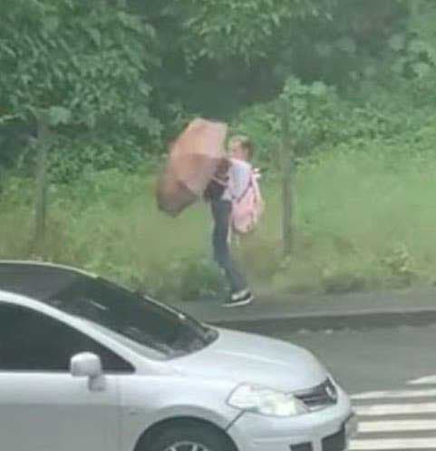 Luiza protège le chien1