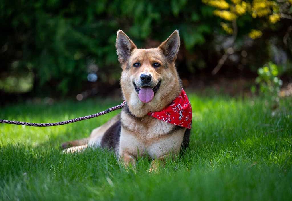 Nikki a retrouvé sa santé, elle est maintenant heureuse