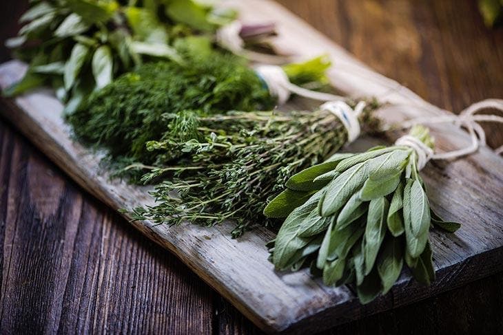 Plusieurs plantes aromatiques sont populaires tant pour leurs arômes délicieux que pour leurs propriétés médicinales