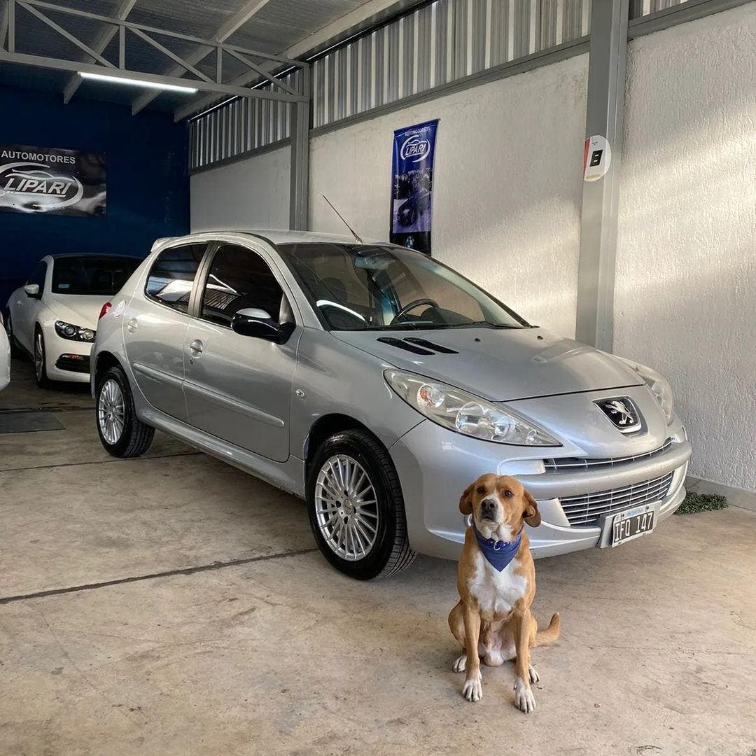 Un chien de l’agence qui pose devant une voiture