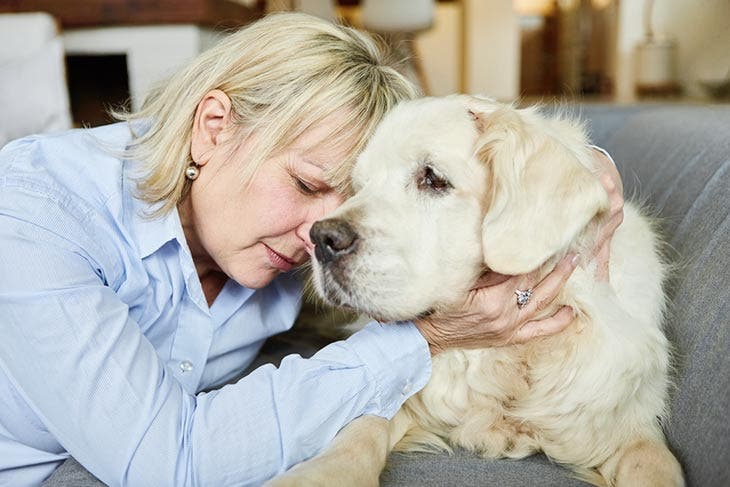 Un chien triste avec son maître – source : spm