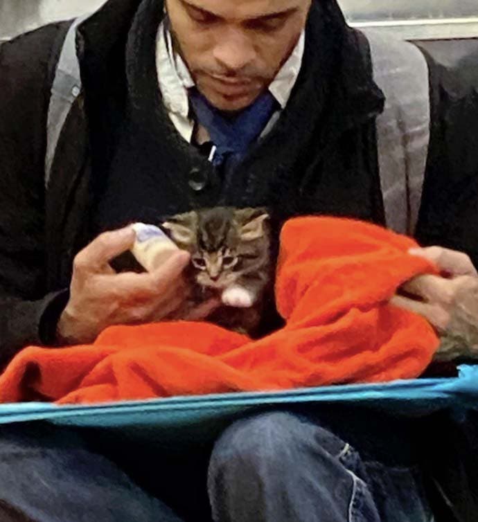 Un homme prend soin d'un petit chaton dans le métro1