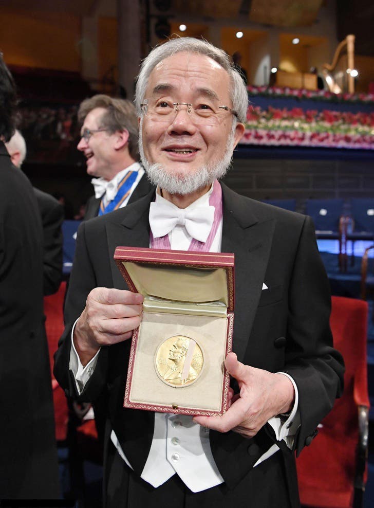 Yoshinori Ohsumi