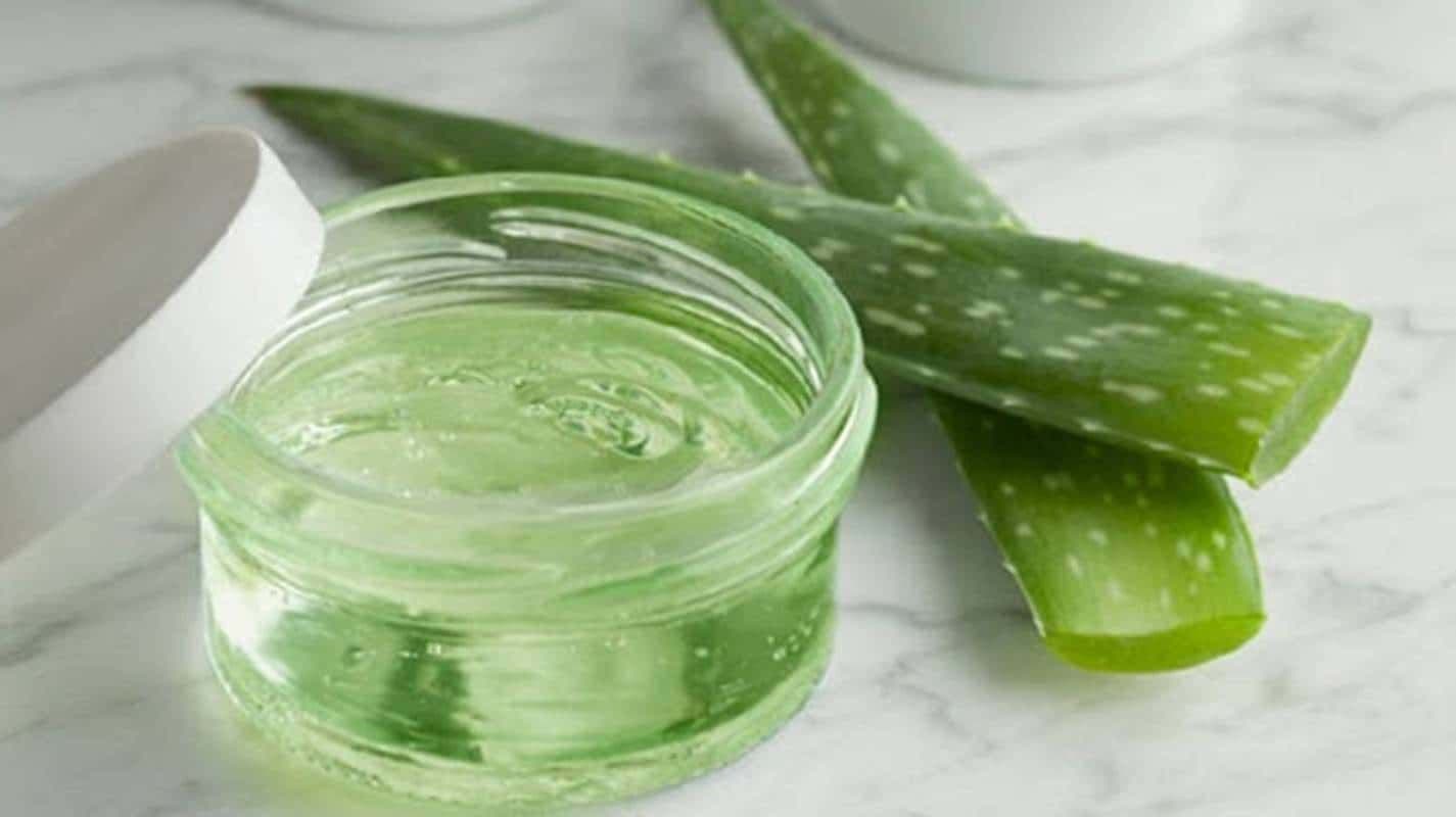 Aloe vera