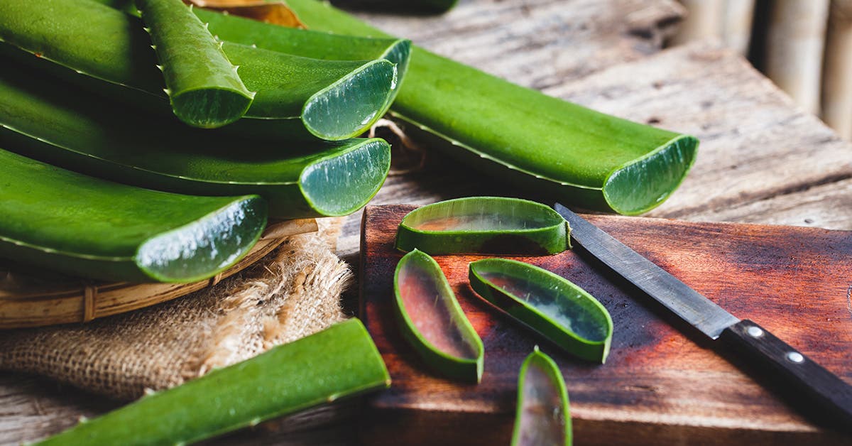 aloe vera miel