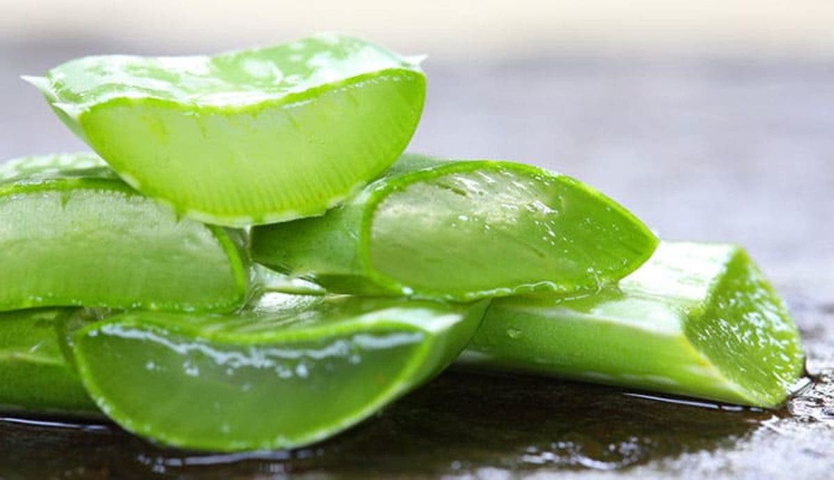 aloe vera tache visage