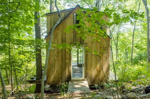 cabane en forêt2