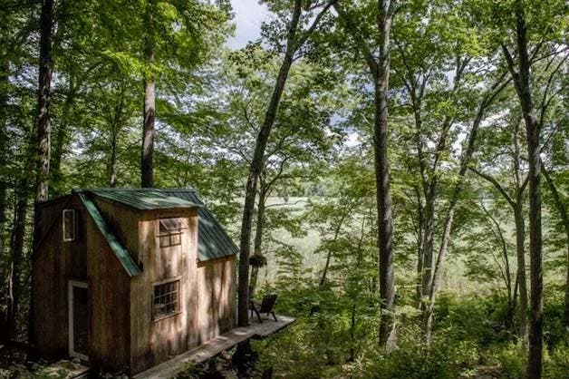 cabane en forêt8