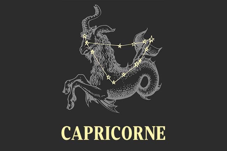 capricorne travailleur