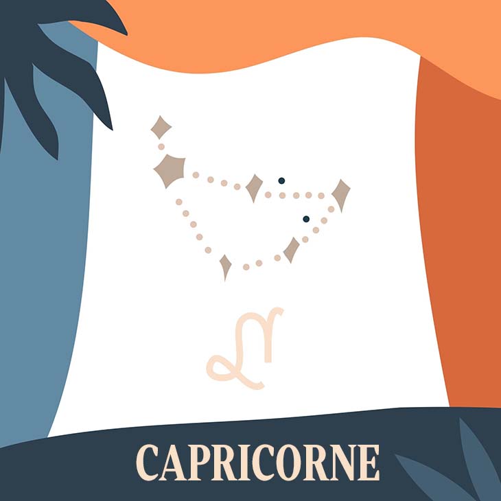 Le signe du capricorne - source : spm