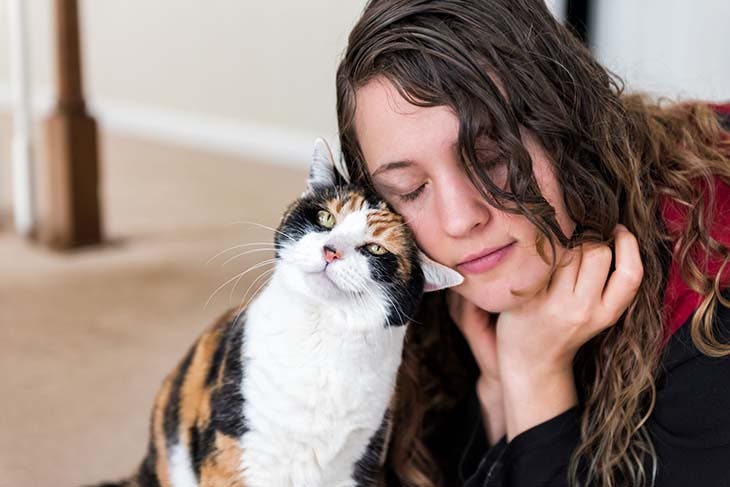 Un chat qui caresse votre tête 