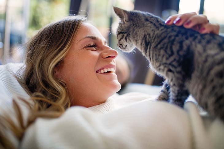 Un chat joue avec son compagnon 