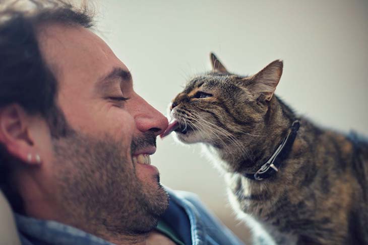 Chat léchant le visage d’un humain – source : spm