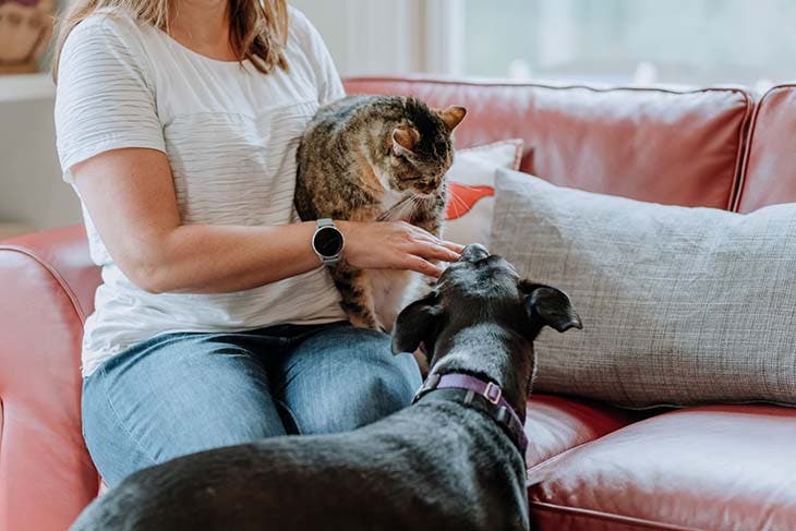 Un chien et un chat avec sa maîtresse - source : spm