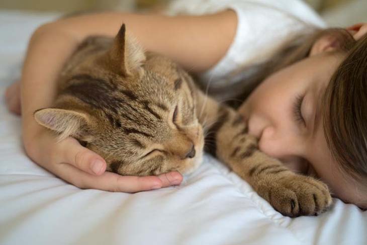 Un chat qui dort à côté de vous 