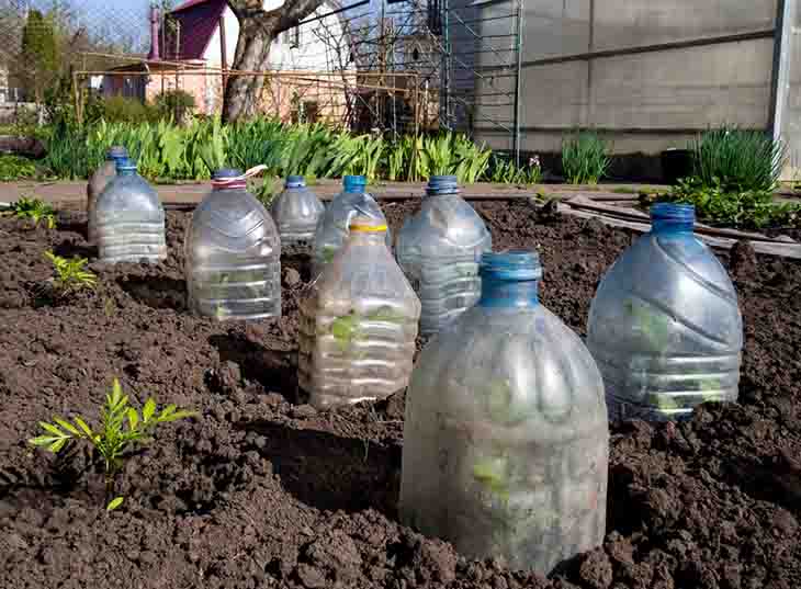 cloches customisées