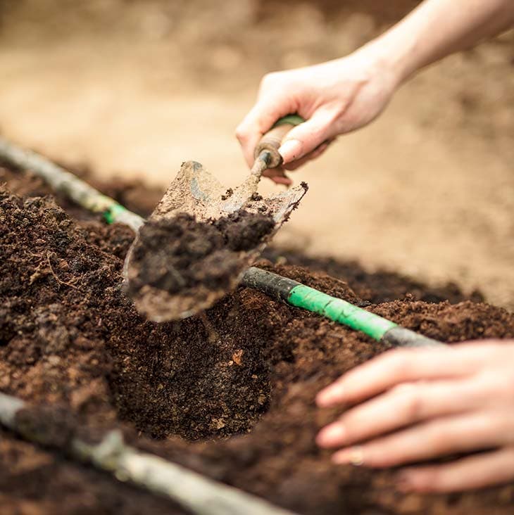 Compost 