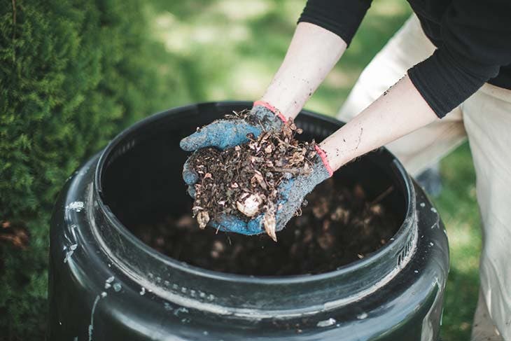 compost