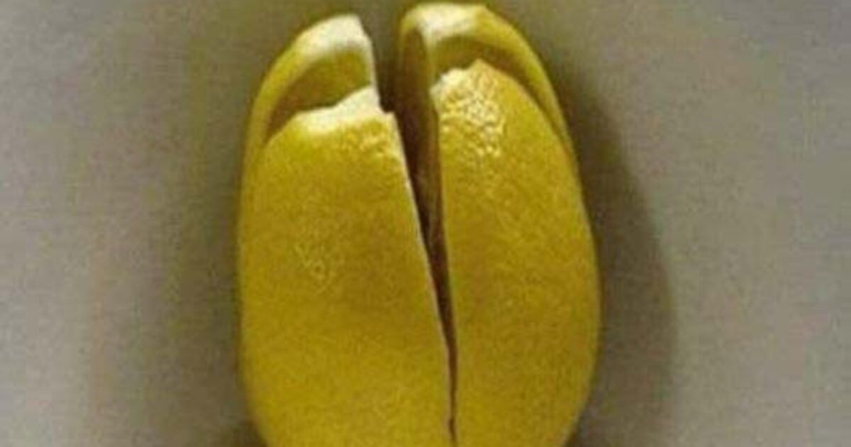 Coupez un citron en quatre et laissez-le dans votre chambre pendant la nuit