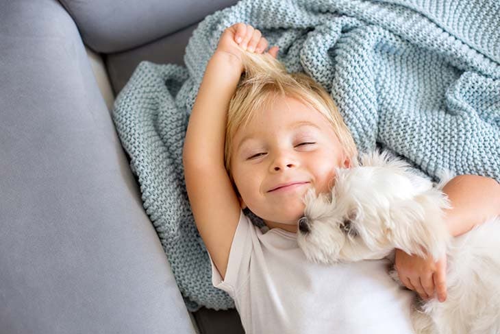 enfant dort avec chien