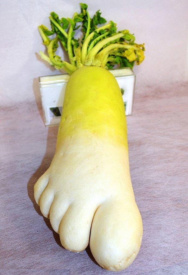 fruits-et-legumes-tellement-bizarres-13