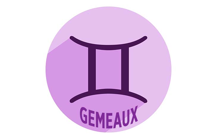 Gémeaux - source : spm