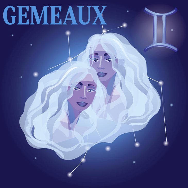 Gémeaux. source : spm