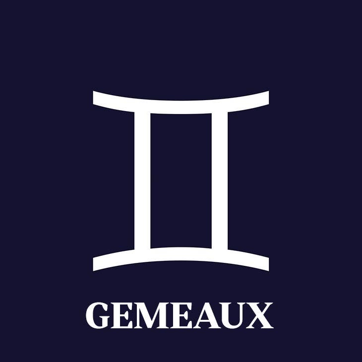 Gémeaux. source : spm