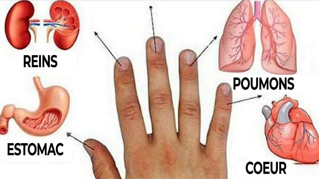 guerir le corps avec les doigts