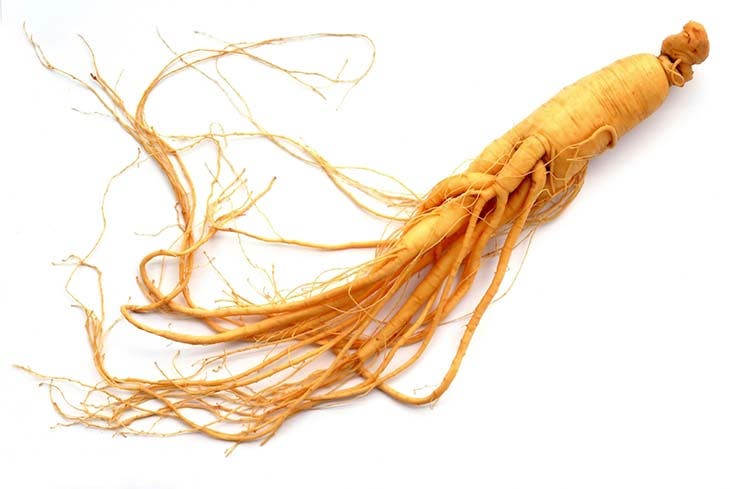 le ginseng