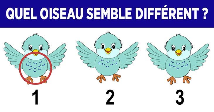 Solution du défi visuel – source : spm