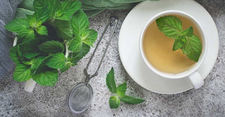 Thé à la menthe poivrée - source : healthline