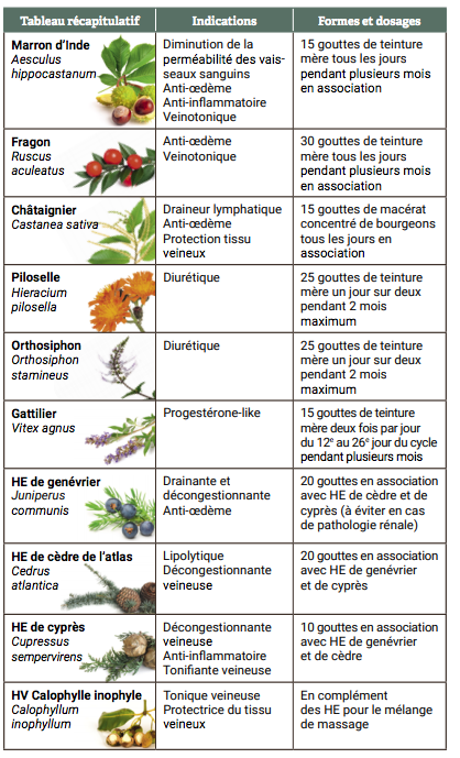 plantes