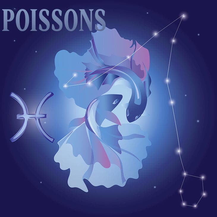 Poissons. source : spm