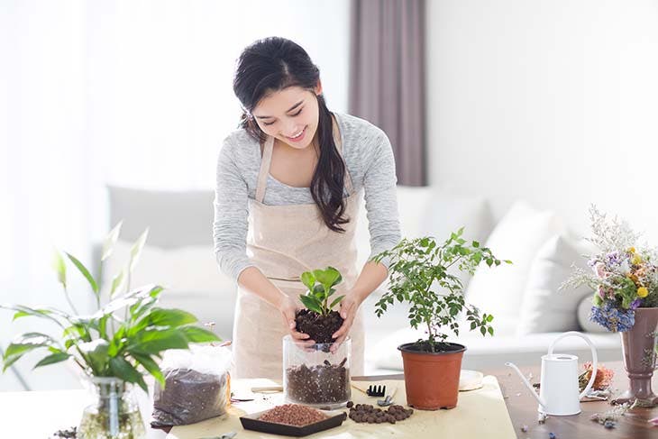 prendre soin des plantes