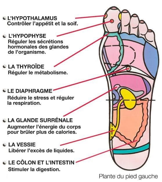 reflexologie-plantaire-a-faire-soi-meme-7-points-de-pression-qui-reduisent-le-stress-et-stimulent-le-metabolisme